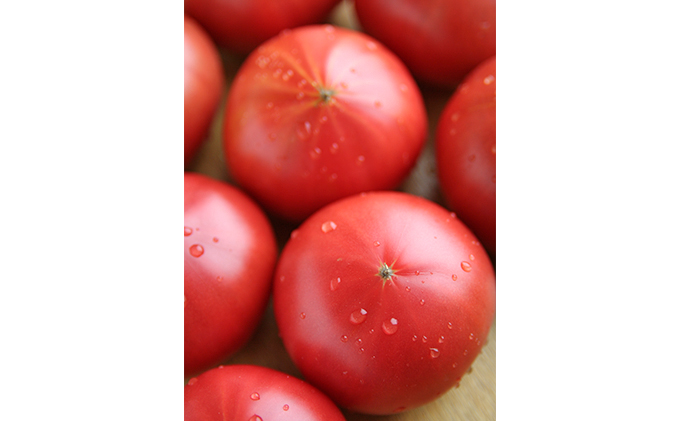 トマト（大玉系）約4kg