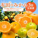 【ふるさと納税】【定期便3回】 和歌山 有田みかん 計 16kg ゆら早生みかん 小粒 うす皮 食べやすい 出荷量 少ない 希少 甘味 さわやか 酸味 段々畑 エコファーマー まごころ みかん 食べ比べ お取り寄せ 和歌山県 湯浅町 送料無料