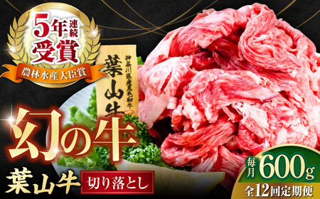 【全12回定期便】葉山牛 切り落とし300g×2パック 小分け 牛肉 切り落とし 横須賀 冷凍  計600g【株式会社羽根】 [AKAG029]