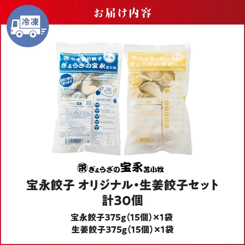 手包み餃子 ぎょうざの宝永 生姜餃子30個セット（宝永餃子15個入×1袋・生姜餃子15個入×1袋） T004-005-01 惣菜 総菜 餃子