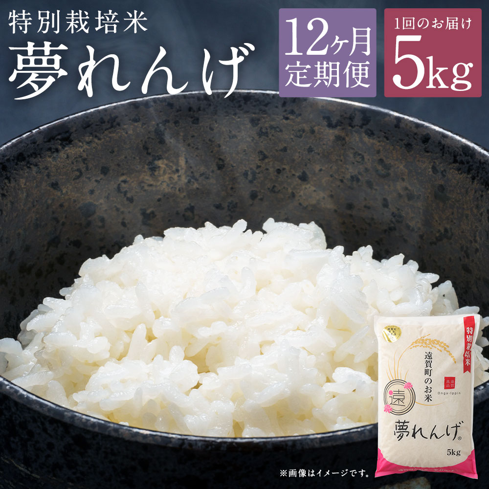 【ふるさと納税】【12ヶ月定期便】特別栽培米 夢れんげ 5kg×1袋 12回配送 合計60kg 定期便 夢つくし 元気つくし 精米 白米 お米 米 福岡 遠賀町産 九州産 国産 送料無料