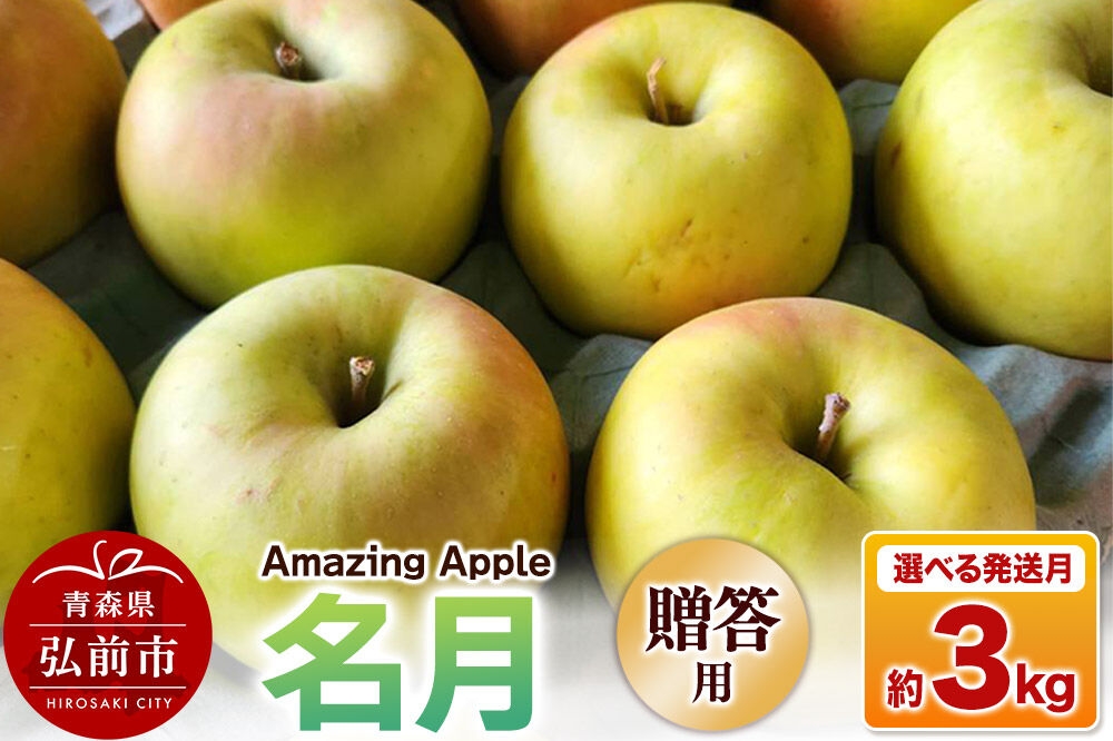 
                  【寄附金額見直しました】りんご 名月【贈答用】約3kg【選べる発送月】 [りんご 名月 選べる 3kg アップル おいしい お歳暮 お中元 ギフト プレゼント 果実 果物 贈り物 贈答用 美味 林檎 青森県 弘前市]
                