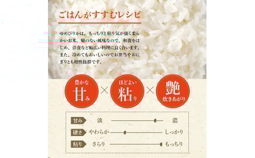 【36個】ごはんパック　ホクレンゆめぴりか　 保存食 ホクレン ゆめぴりか 米 パック ごはん 備蓄 防災 レトルト 保存 レンジ 簡単 手軽 一人暮らし 常温 白米 非常食 北海道 余市町 _Y01