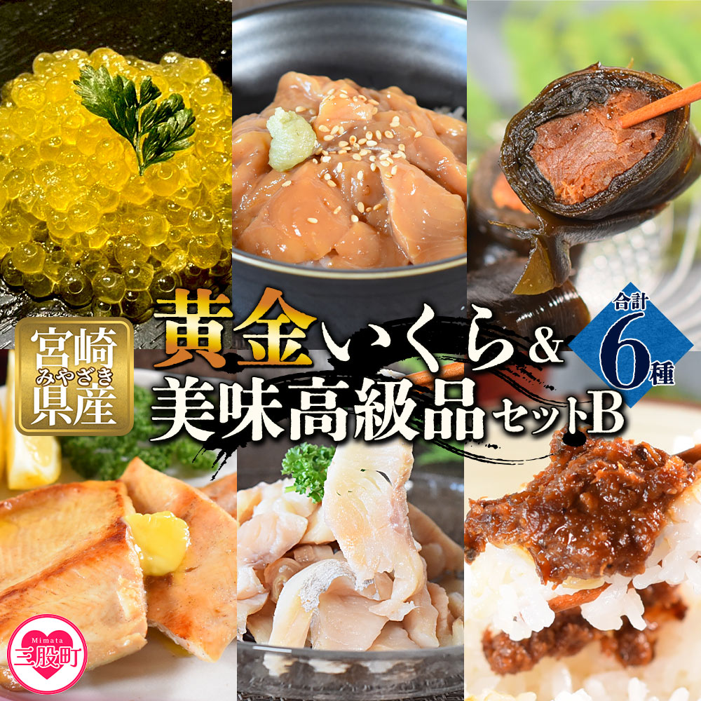 【ふるさと納税】【先行予約】＜黄金イクラと美味高級品セットB＞ 6種 国産 九州産 宮崎 いくら 魚卵 やまめ 甘露煮 こんぶ フィレ スモーク マリネ 味噌 みそ おかず 水産物 詰め合わせ テレビ 紹介【B-0207-sk】【有限会社しゃくなげの森】