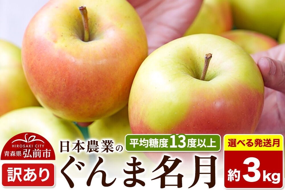 
                  りんご【選べる 26年11月～27年3月 発送】ぐんま名月【訳あり】約3kg 平均糖度13度以上 クール便 青森県 弘前市 果物 フルーツ 林檎 リンゴ くだもの 不揃い 規格外 [先行受付 家庭用 産地直送 アップル 青森県 弘前市] [u9]
                