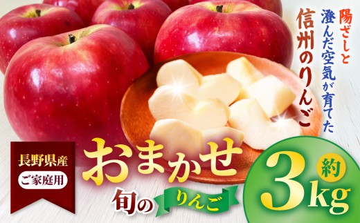 信州高遠町産 ご家庭用 りんご 約3kg 品種 おまかせ | りんご 果物 フルーツ 信州 林檎 家庭用 伊那 長野県 ふるさと納税【009-42】