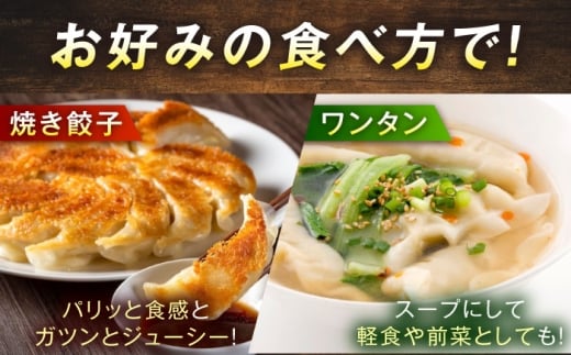訳あり 本格餃子 100個セット 訳あり 本格 餃子  ぎょうざ 国産 ギョーザ 野菜 わけあり ワケアリ 冷凍餃子 ぎょうざ ジューシー 中華 セット 詰め合わせ 国産野菜 大容量 たっぷり 惣菜 