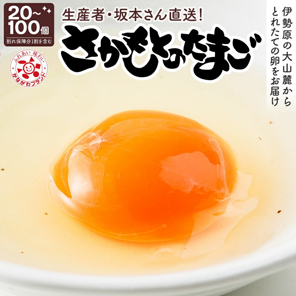 【ふるさと納税】[選べる数量] 坂本養鶏 大山の麓で育った さかもとのたまご 20個から100個 (割れ保証含む)｜伊勢原市 赤玉卵 玉子 鶏卵 生卵 国産 TKG タマゴ 新鮮 [0383-0388]
