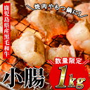 【ふるさと納税】≪数量限定≫鹿児島県産黒毛和牛の小腸 ホルモン(計1kg) しょうちょう ホルモン もつ鍋 焼肉 鍋 焼肉用 焼き肉 バーベキュー 冷凍 牛肉 肉 もつ モツ 内臓 国産牛 モツ鍋 もつなべ 九州 国産 ギフト 黒毛和牛【バクロ】