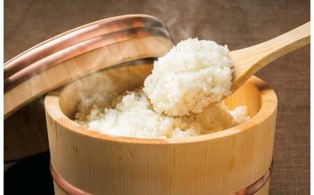 【 8月下旬発送開始 令和7年産 新米 先行予約 】山香ゆうきの会の米 5kg（精米：コシヒカリ） 新米 5kg 米 早場米 先行予約 先行受付 ＜002-021＞