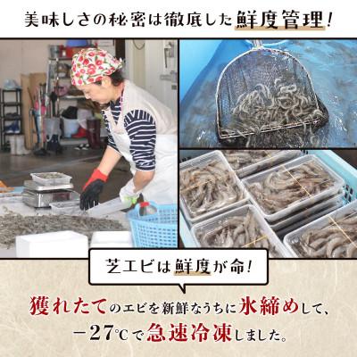 ふるさと納税 鹿島市 冷凍芝エビ(真エビ)1kg(500g×2パック) |  | 03