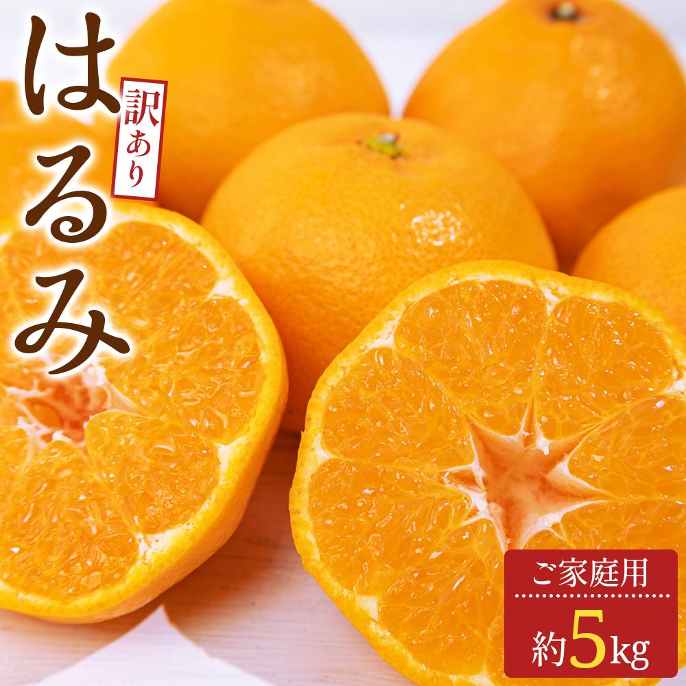 【ふるさと納税】訳あり ご家庭用 はるみ 約5kg【2026-2月上旬～2026-3月下旬配送】 | 大粒果肉 産地直送 食品 柑橘 お取り寄せ お取り寄せグルメ 自宅用 家庭用 おすそ分け おやつ デザート 果物 フルーツ 香川県 高松市