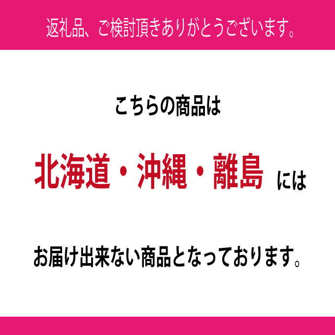 [HS] ぶどう 2025年 先行予約 9月・10月発送 シャインマスカット 晴王 2房（合計約1.3kg） ブドウ 葡萄 岡山県産 国産 フルーツ 果物 ギフト