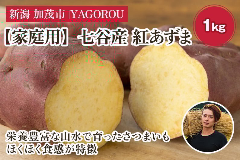 
            【家庭用】紅あずま 1kg（A品・B品混在） 新潟県加茂市七谷産 さつまいも《10月下旬〜順次発送》 サツマイモ お芋 焼き芋 スイートポテト 野菜 根菜 低温熟成 加茂市 YAGOROU ヤゴロウ
          
