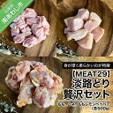 【ふるさと納税】【MEAT29】淡路どり贅沢セット