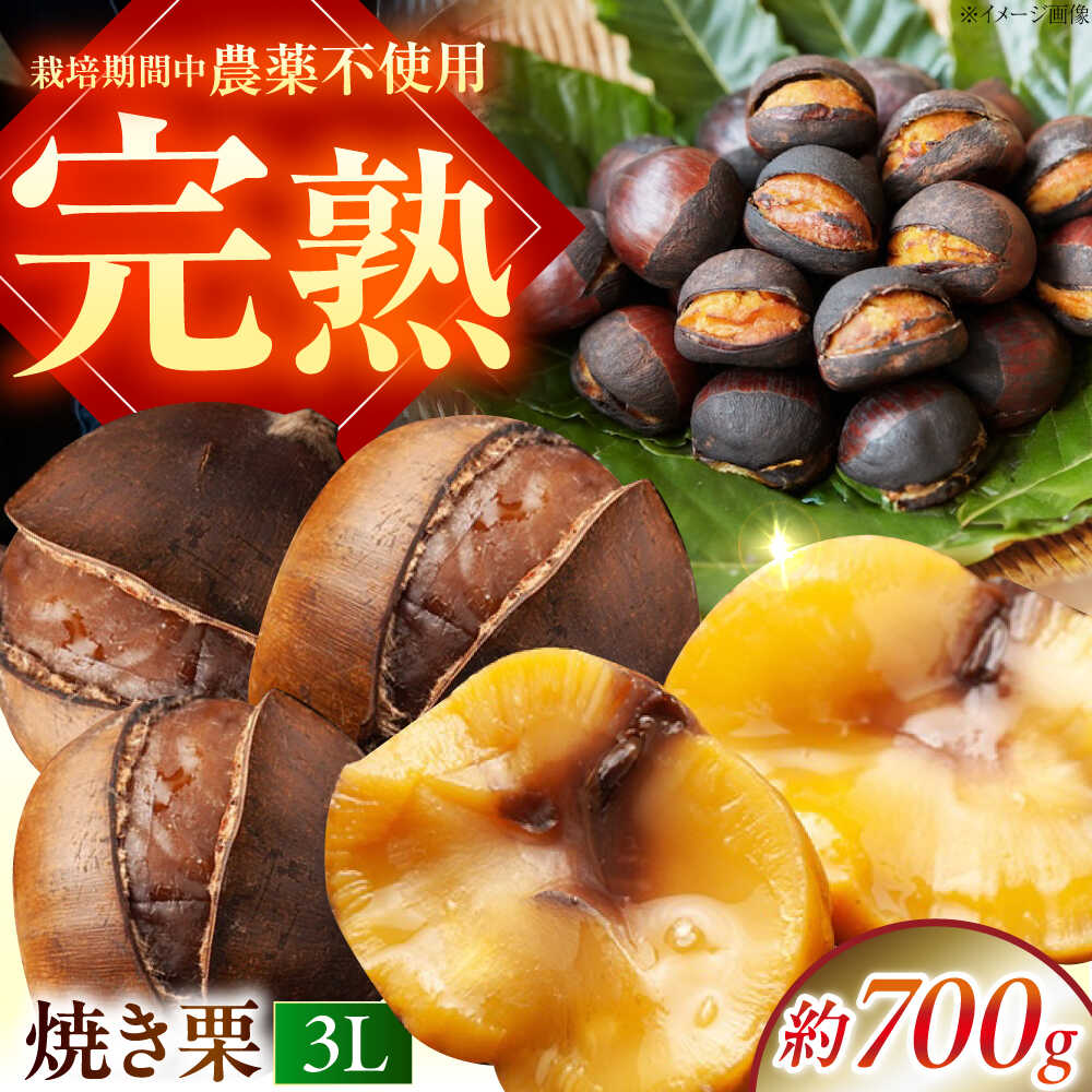 【ふるさと納税】【先行予約】完熟 石畳栗 焼き栗 3Lサイズ 700g ／ 栗 くり 焼き栗 国産 熟成 完熟栗 人気栗 美味しい 愛媛県栗 マロン 美味しいマロン 食品 加工食品 産地直送 産直 愛媛県 内子町【株式会社 石畳つなぐプロジェクト】[BKAQ001]