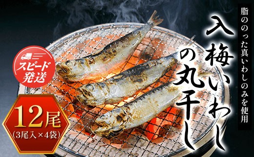 
                  【最短2～7営業日出荷】入梅いわしの丸干し 12尾（3尾入×4袋） ふるさと納税 いわし イワシ 鰯 魚 干物 乾物 魚介 千葉県 大網白里市 送料無料 AE001
                