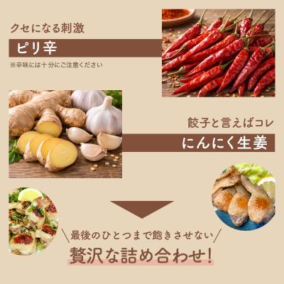 ふるさと納税 岩見沢市 北海道産鶏肉を使った手羽餃子20個セット(5個×4袋)≪配送地域限定≫ |  | 03