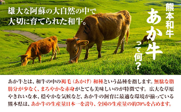 あか牛100％ハンバーグセット(あか牛ハンバーグ約120g×6個、あか牛のたれ200ml付き)	