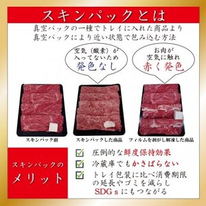 訳あり 神戸牛 焼肉(切り落とし)　500g　SOY1【配送不可地域：離島】【1517913】