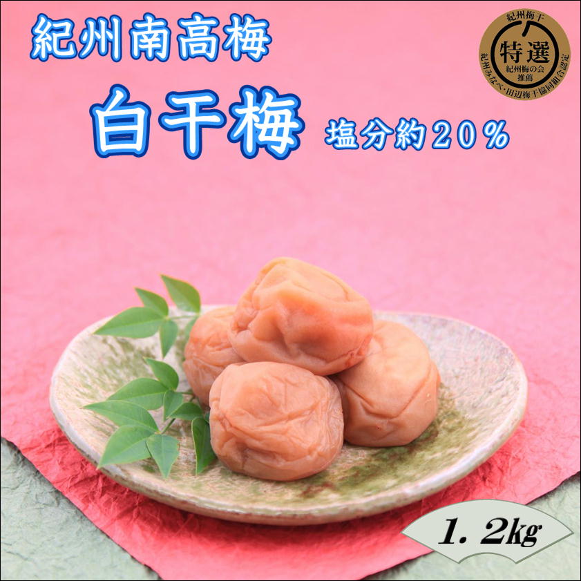 【ふるさと納税】【家庭用】紀州南高梅　白干梅　1.2kg