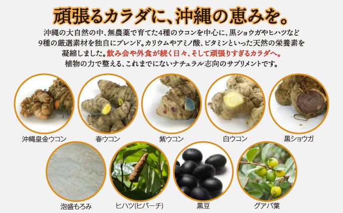 沖縄県産4種のウコンと5種の美健素材（SAKEKING3個セット）   I  ウコン サプリ SAKEKING 3個 セット   沖縄県 南城市 ふるさと納税 リフェット