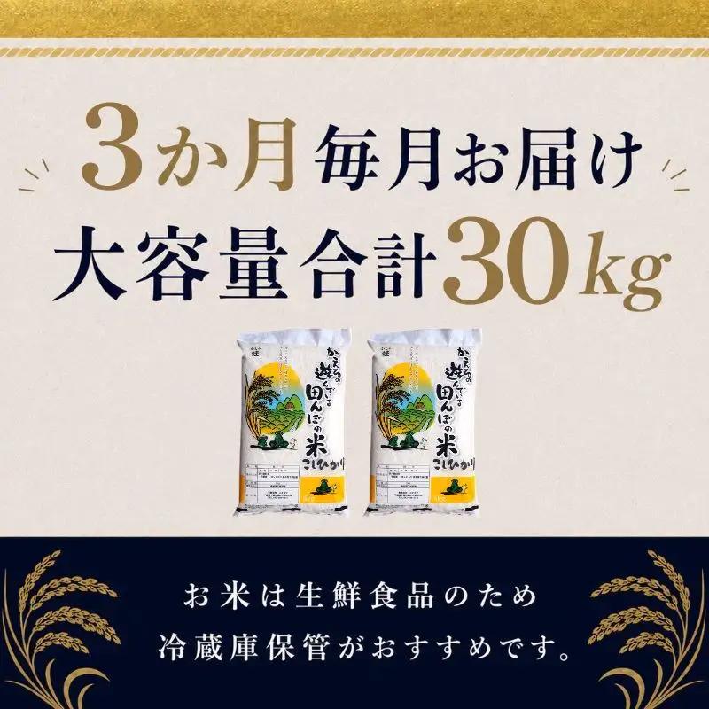 コシヒカリ 無洗米 令和7年 千葉県産 コシヒカリ【10kg(5kg×2)×3ヶ月】【定期便】