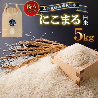 ふるさと納税 諫早市 【土井農場】特Aランクに輝いた「にこまる」5kg(白米)