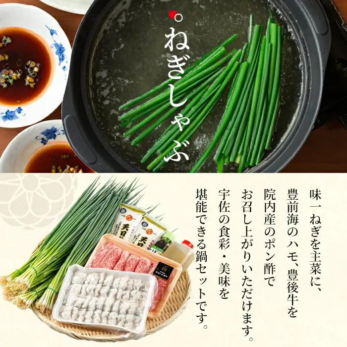 ねぎしゃぶ＋太閤からあげ(7品)ねぎしゃぶ しゃぶしゃぶ おおいた和牛 鱧 はも 鍋 お鍋 唐揚げ からあげ セット【101500502】【菊水旅館】