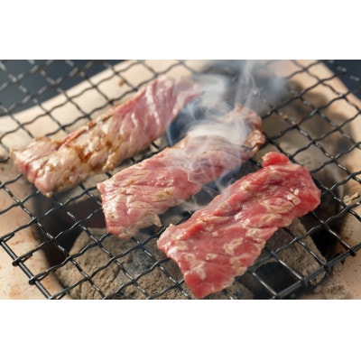 【毎月定期便】肥後の赤牛　焼肉用500g(水上村)全6回【配送不可地域：離島】