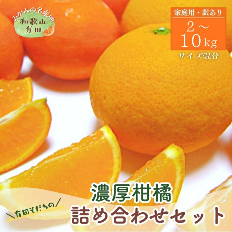 【ふるさと納税】 【先行予約】有田育ちの柑橘詰め合わせセット(ご家庭用) 約2kg 約3kg 約5kg 約8kg 約10kg【2026年1月中旬〜5月下旬順次発送予定】