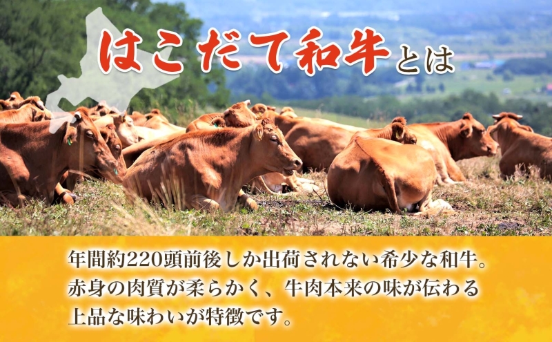  北海道 みそぎの郷 ハンバーグ 6個 ソース 付き 北海道産 和牛 はこだて和牛 あか牛 牛肉 豚肉 ビーフ ポーク 合挽 肉汁 ジューシー 本格 希少 国産 洋食 時短 簡単 人気 おかず 惣菜 