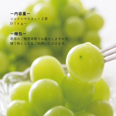 【食べ切りサイズ】 シャインマスカット 中2房/計1.0kg～ (岡山県産)【配送不可地域：離島・北海道・沖縄県】