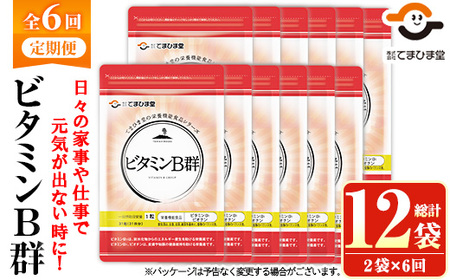 No.1300-B ＜定期便・全6回(隔月)＞ビタミンB群(2袋×6回・計12袋) 鹿児島 日置市 健康食品 サプリ 栄養バランス 食生活 安心安全 ビタミン 定期便 頒布会 【てまひま堂】