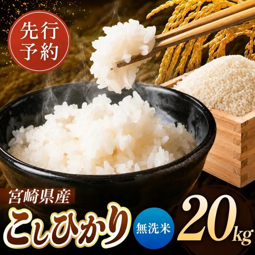 令和8年産 こしひかり 20kg （無洗米） 宮崎県産