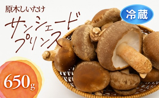 352.【冷蔵】原木しいたけ サンシェードプリンス　※北海道・沖縄・離島 以外への配送　※2025年12月中旬～2026年2月上旬頃に順次発送予定｜しいたけ 椎茸 野菜 きのこ 新鮮 肉厚 旨味 北栄町 鳥取県 おすすめ 人気