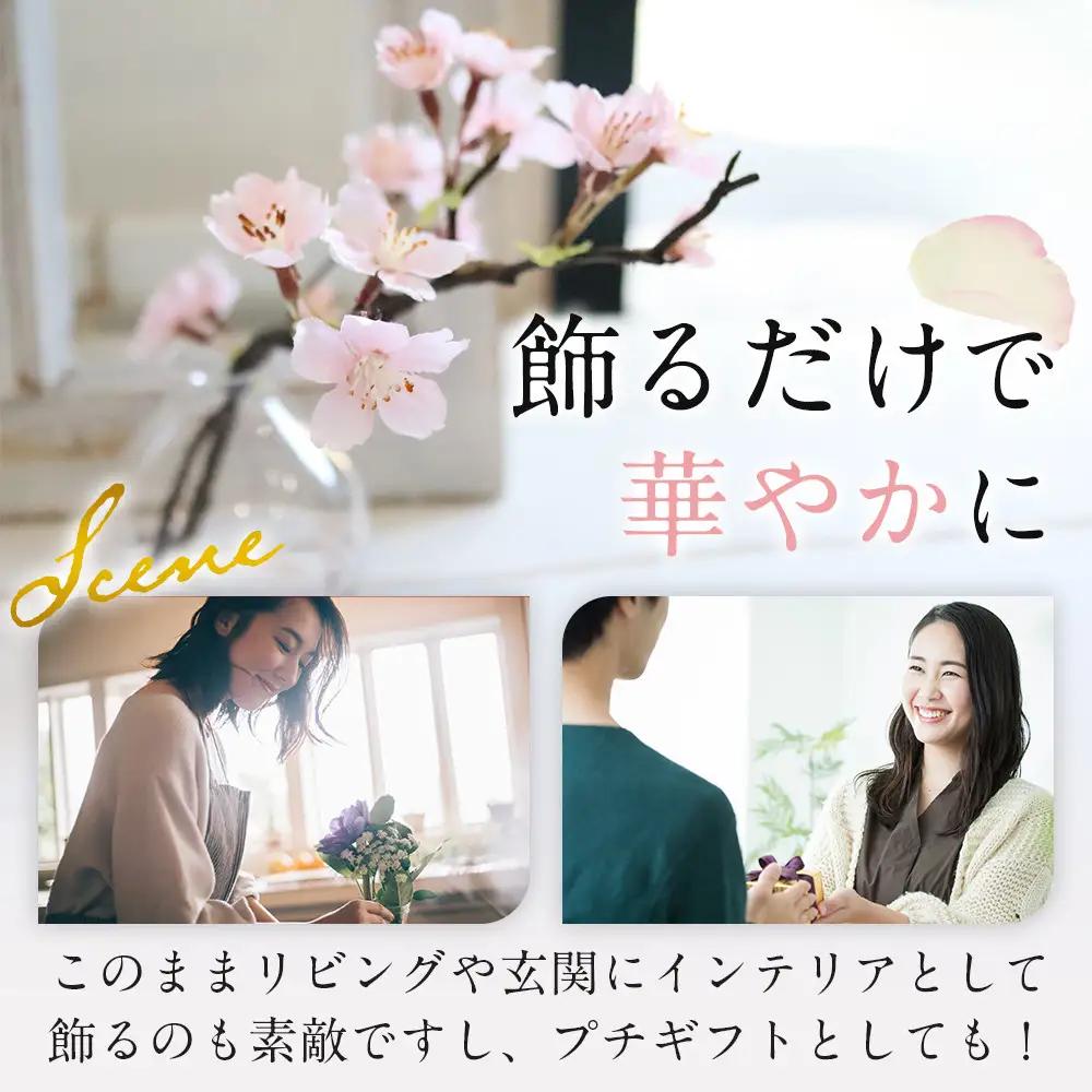 新春　淡雪桜　さくら　魔法の水　マジカルウォーター『薄紅』