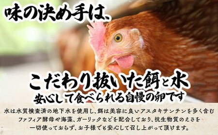 【10か月定期便】君嶋養鶏園のたまご Lサイズ 30個（27個＋割れ補償3個）×10ヶ月 計300個 | 定期便 10ヶ月 10か月 10ヵ月 卵 玉子 たまご 赤卵 赤たまご 生卵 国産 濃厚 鶏卵