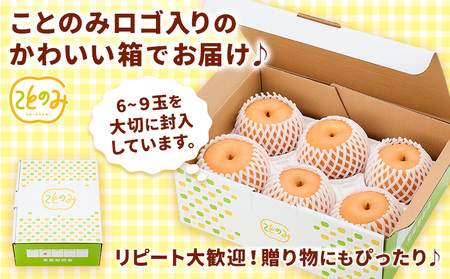 梨 秀品 荒尾梨 新ブランド(愛称) 「ことのみ」 あきづき  約3.5～4kg フルーツ 果物 旬 贈答 ギフト 先行予約 《9月上旬-9月中旬頃出荷》熊本県荒尾市産含む JAたまな荒尾梨部会  美