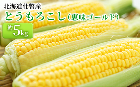 ＜2026年8月上旬より順次お届け＞北海道壮瞥産 とうもろこし（恵味ゴールド）約5kg 【 ふるさと納税 人気 おすすめ ランキング 北海道 壮瞥 先行予約 とうもろこし トウモロコシ 野菜 とうきび スウィートコーン  大容量 詰合せ セット 北海道 壮瞥町 送料無料 】SBTA001