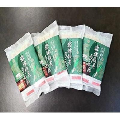 ふるさと納税 朝来市 【半生】岩津ネギうどん8人前(2人前×4袋)※つゆ付き　|朝来市特産岩津ねぎ使用|のどごしつるつる |  | 02