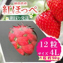 【ふるさと納税】 いちご 紅ほっぺ 贈答用 大粒 12粒入り 約600g ( 1粒 約50g × 12粒 ) 冷蔵 【先行予約】 【2025年1月より順次発送】 朝採れ 苺 旬 四国 徳島 小松島 期間限定 産地直送 イチゴ フルーツ 果物 国産 ふるさと人気 いちご 苺 イチゴ 産地 直送