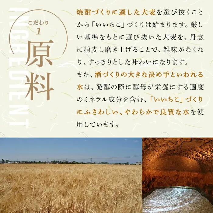 いいちこスペシャルハイボール(計16.8L・350ml×48本) 酒 お酒 いいちこ スペシャル ハイボール アルコール 飲料 常温 スピード発送 【107307100】【時枝酒店】