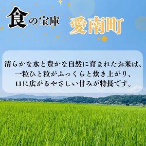 【新米】 令和7年産 コシヒカリ 10kg 新米 愛媛県 愛南町 青果市場