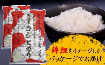 特別栽培棚田米 魚沼コシヒカリ 10kg 錦鯉デザインパッケージ 産地直送【0002-0166-01】