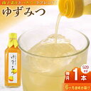 【ふるさと納税】【全6回定期便】ゆずみつ 520ml 1本 柚子みつ 柚子蜜 柚子 ゆず はちみつ ハチミツ 蜂蜜 熊本 山都町【本田農園】[YDL024]