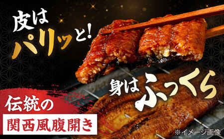 国産活うなぎ3尾（蒲焼）[AQDF008] 鰻 鰻 鰻 鰻 鰻 鰻 鰻