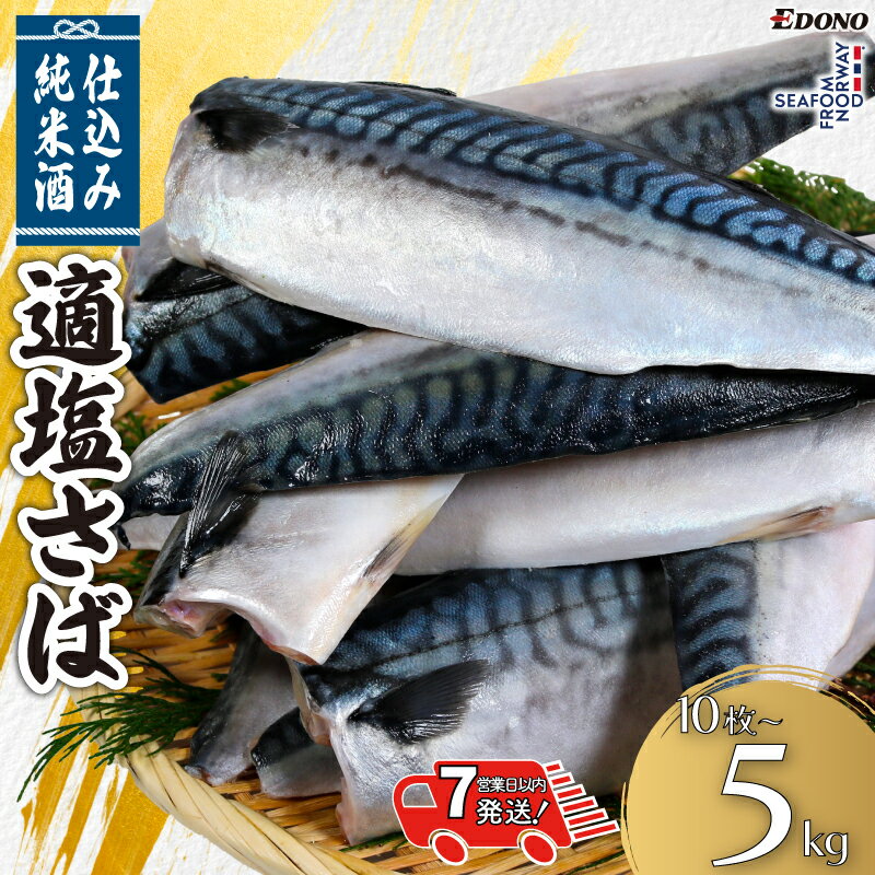 【ふるさと納税】 適塩さば 純米酒仕込み 【 選べる 容量 】 10枚 〜 5kg 【 スピード配送 】