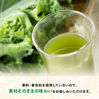 伊藤園 毎日1杯の青汁無糖（紙パック）200ml×48本【 飲料類 野菜ジュース 野菜 ジュース 青汁 飲みもの】[E7355]