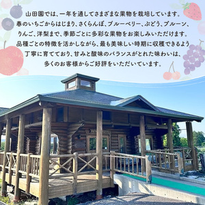 北海道 仁木町産 りんごジュース 720ml×1本 ジャム 3種 （りんご・ブルーベリー・いちご） [ ジュース りんご リンゴ いちごジャム 林檎ジャム ブルーベリー 苺 ]